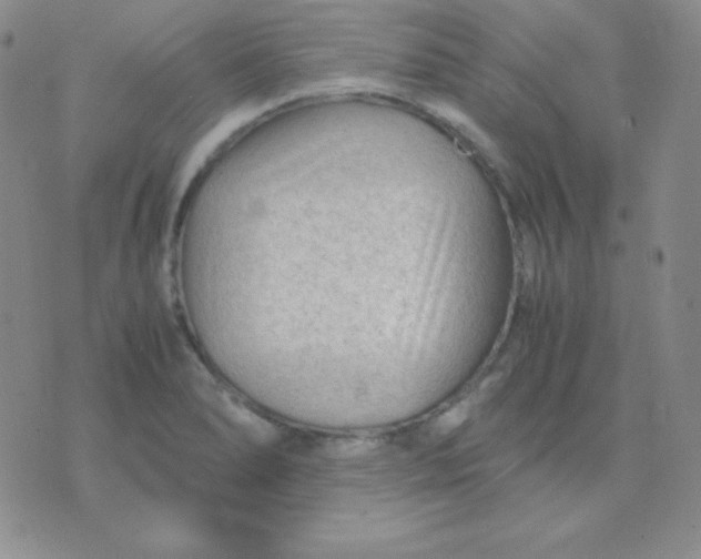 X0000071971278200607282049