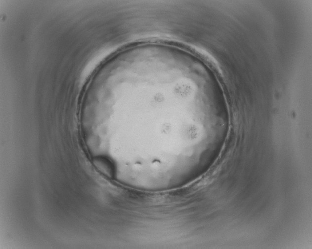 X0000071971279200607282049