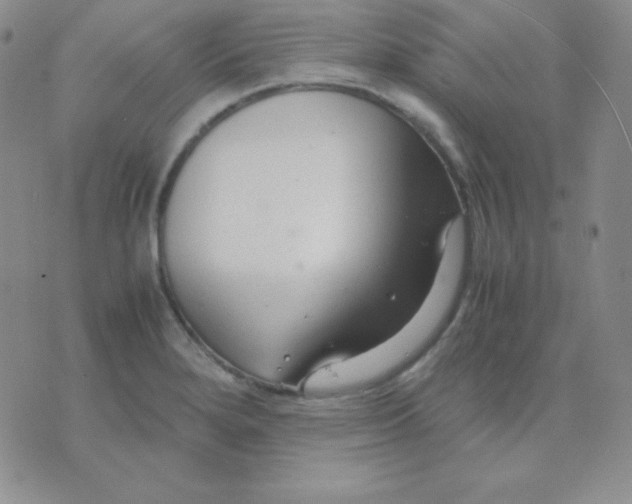 X0000071971280200607282049