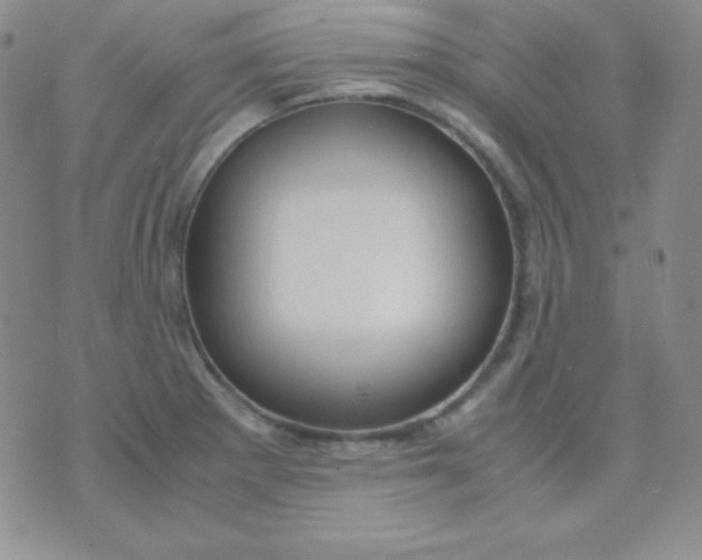 X0000071971281200607282049