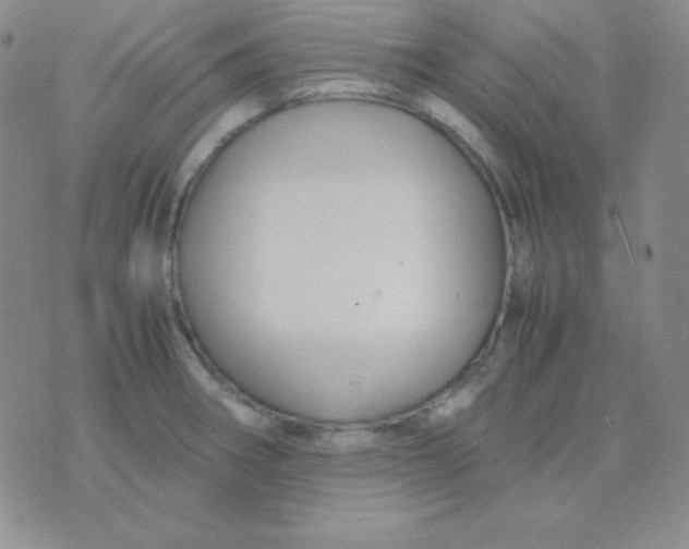 X0000071971282200607282049