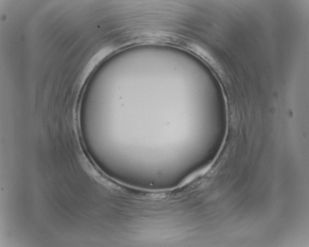 X0000071971283200607282049