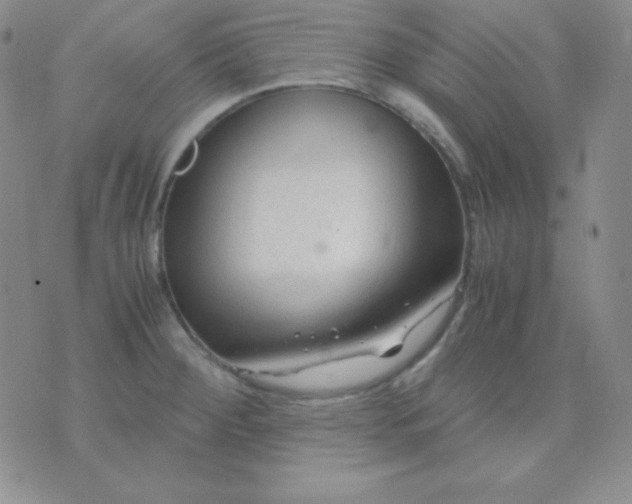 X0000071971284200607282049