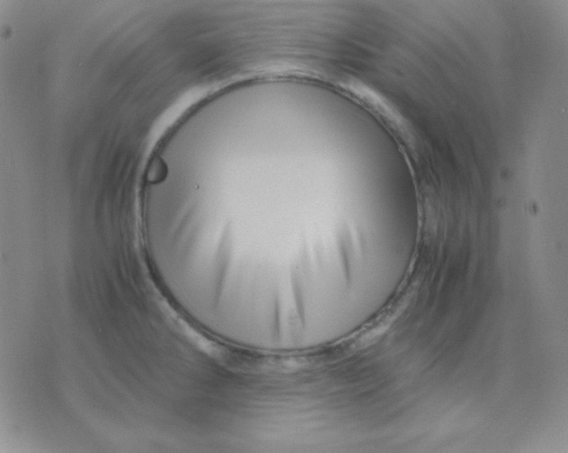 X0000071971286200607282049