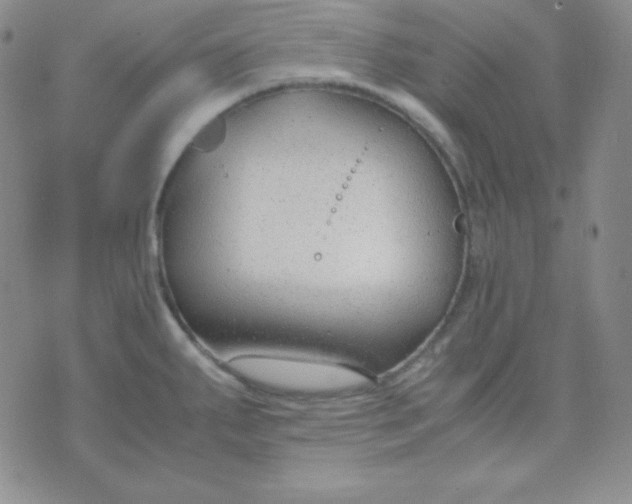 X0000071971287200607282049