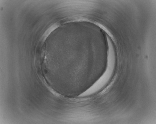 X0000071971289200607282049