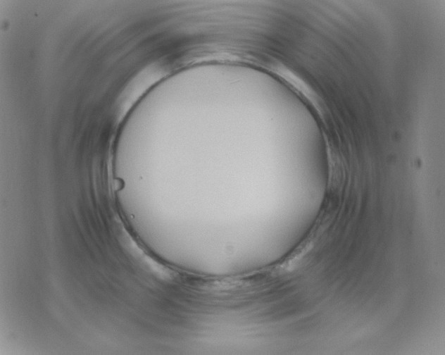 X0000071971290200607282049