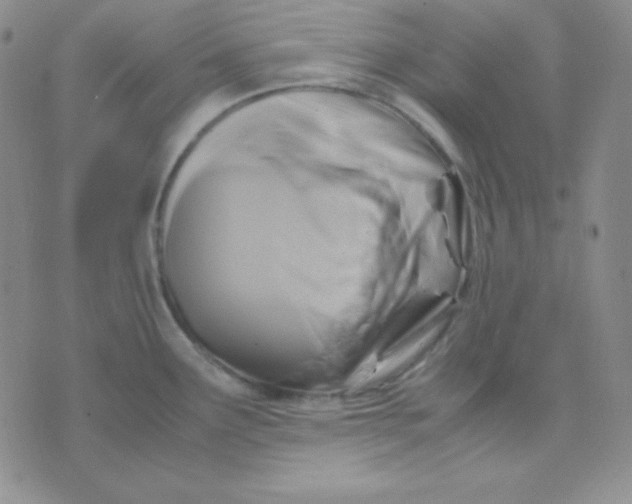 X0000071971291200607282049