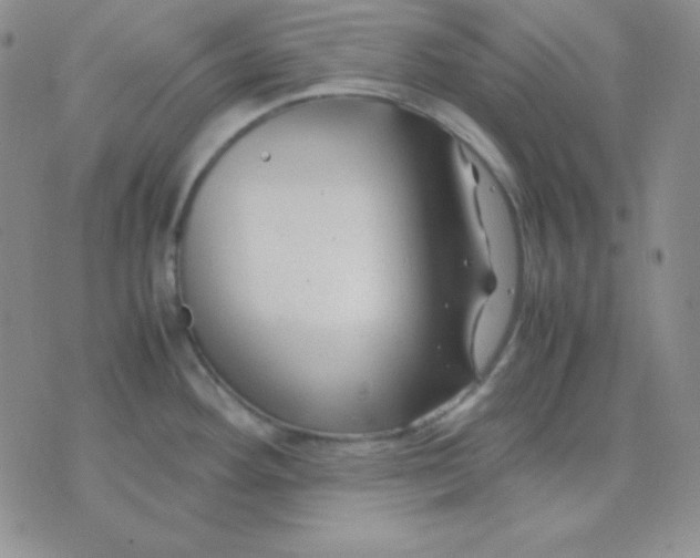 X0000071971292200607282049