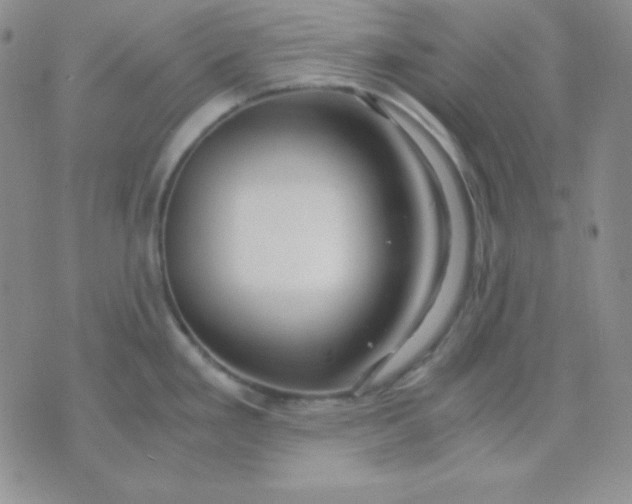 X0000071971293200607282049