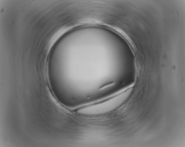 X0000071971295200607282049