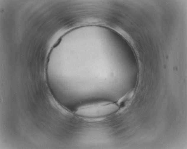 X0000071971296200607282049