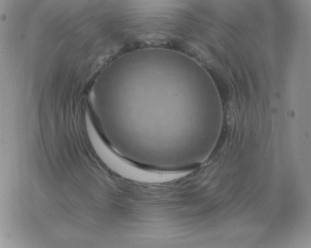 X0000071971298200607282048