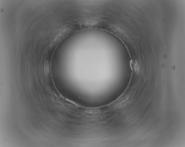 X0000071971299200607282048