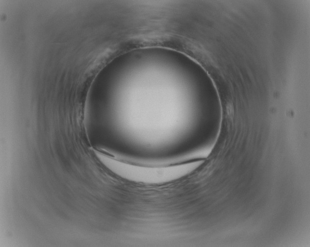 X0000071971300200607282048