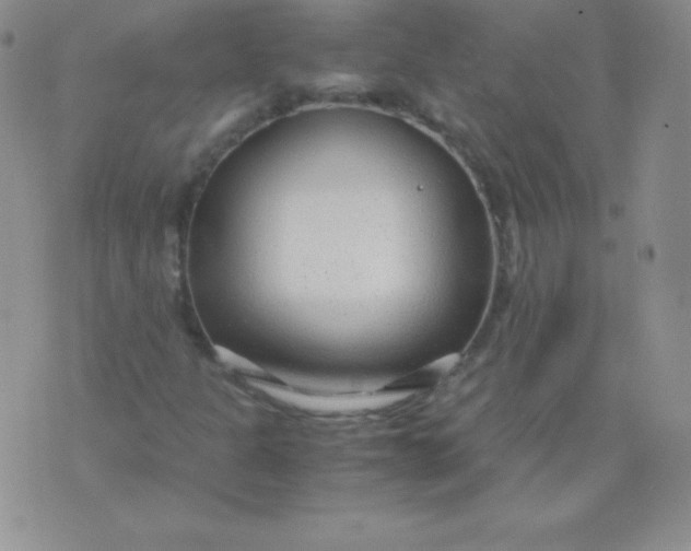 X0000071971301200607282048