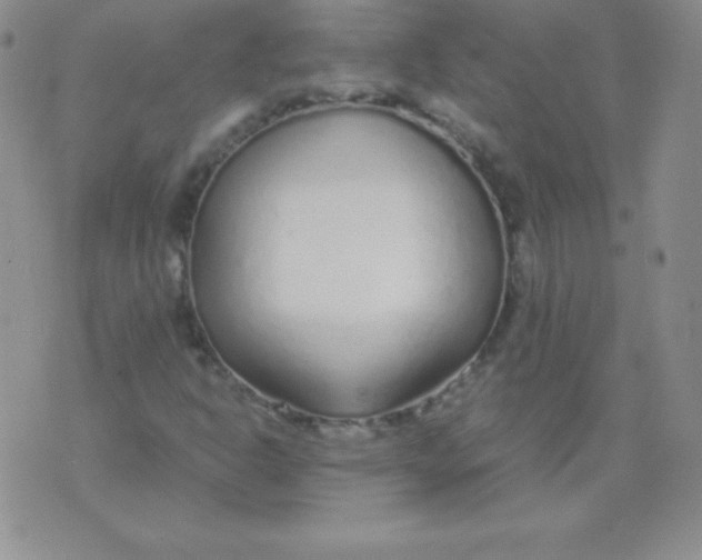 X0000071971302200607282048