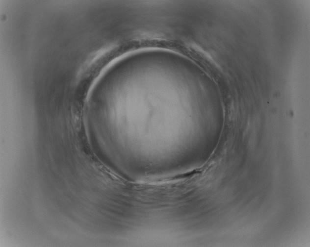 X0000071971303200607282048