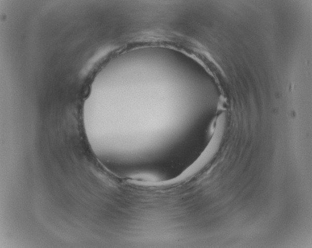 X0000071971304200607282048