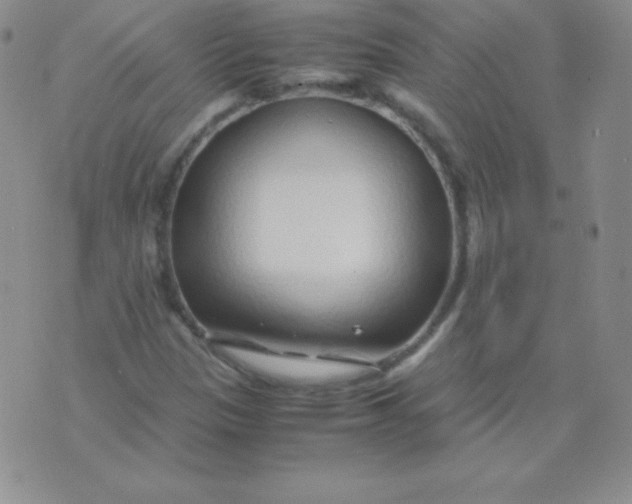 X0000071971305200607282048