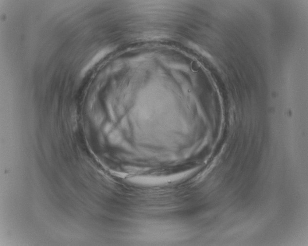 X0000071971306200607282048