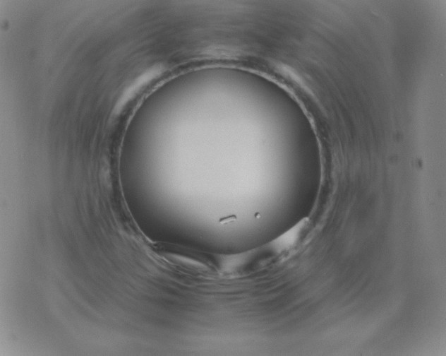 X0000071971307200607282048