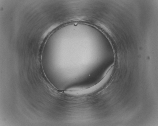 X0000071971308200607282048