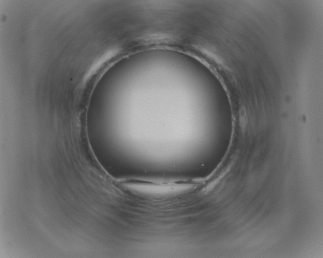 X0000071971309200607282048