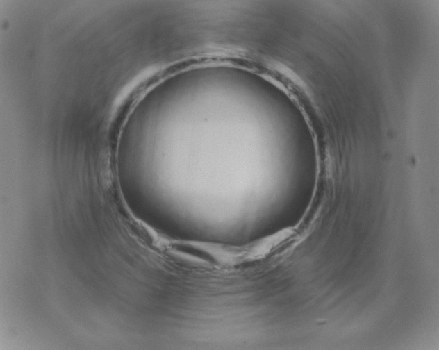 X0000071971310200607282048