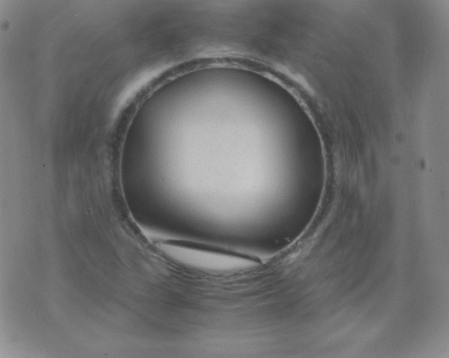 X0000071971311200607282048