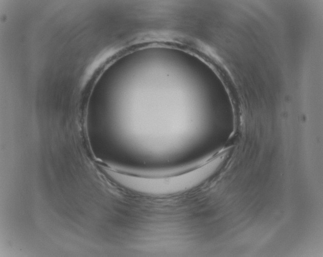 X0000071971312200607282048