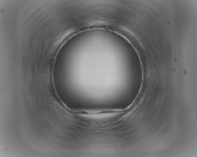 X0000071971313200607282048