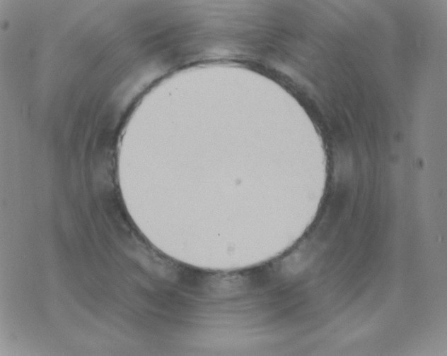 X0000071971314200607282048