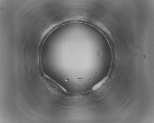 X0000071971316200607282048