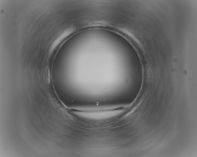 X0000071971317200607282048