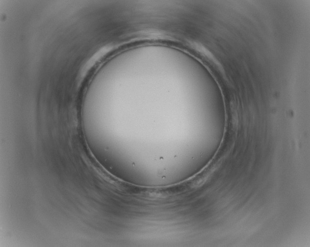 X0000071971318200607282048