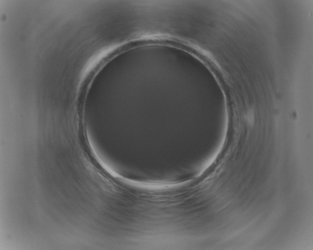 X0000071971319200607282048