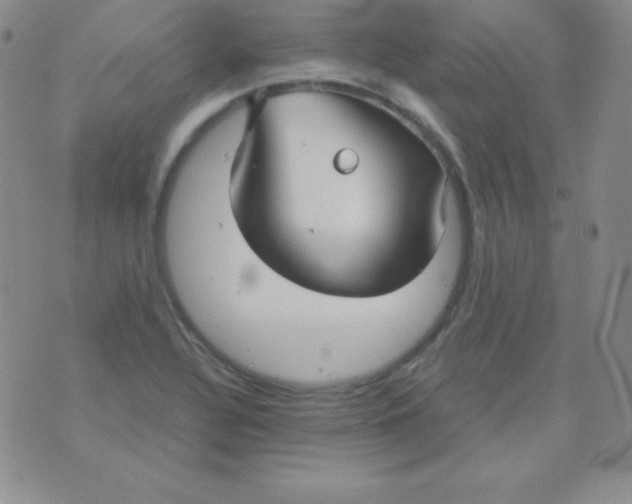 X0000071971320200607282048