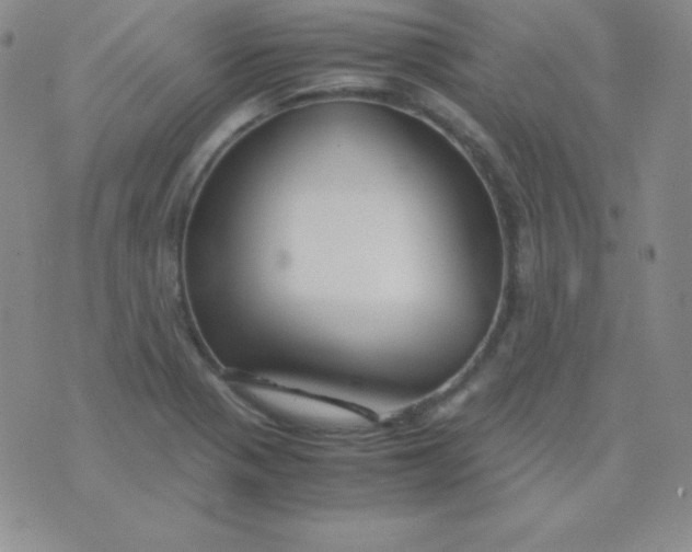 X0000071971321200607282048