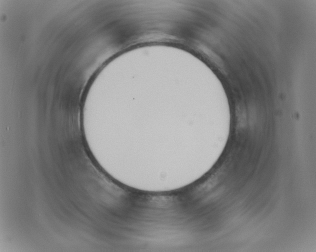 X0000071971322200607282048