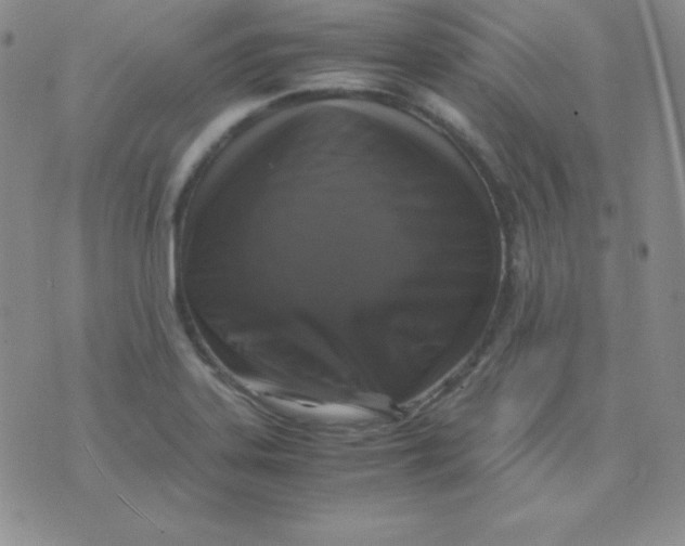 X0000071971323200607282048