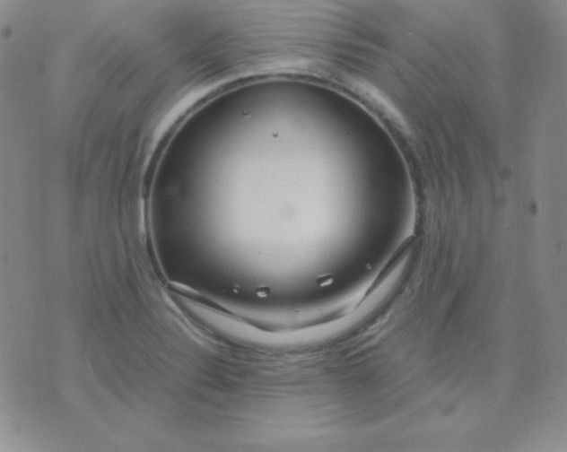 X0000071971324200607282048