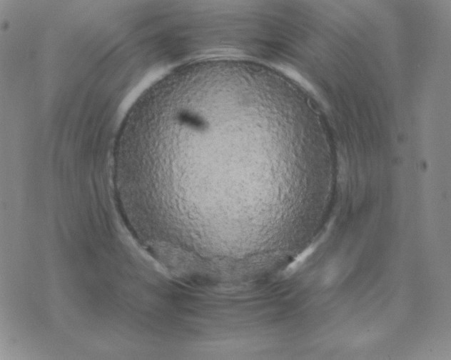 X0000071971325200607282048