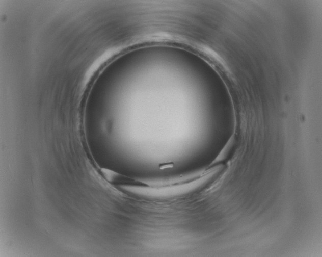 X0000071971326200607282048