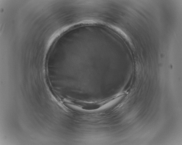 X0000071971327200607282048