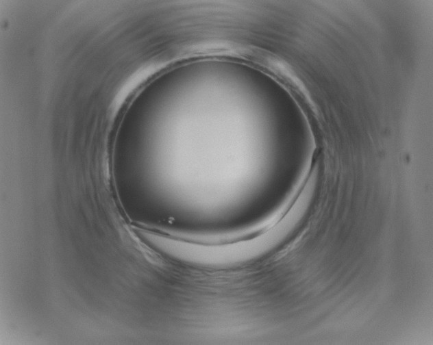 X0000071971328200607282048