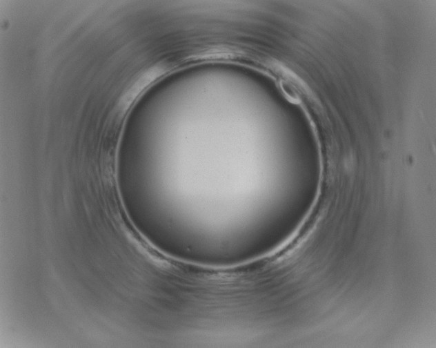 X0000071971329200607282048