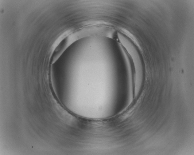 X0000071971330200607282048