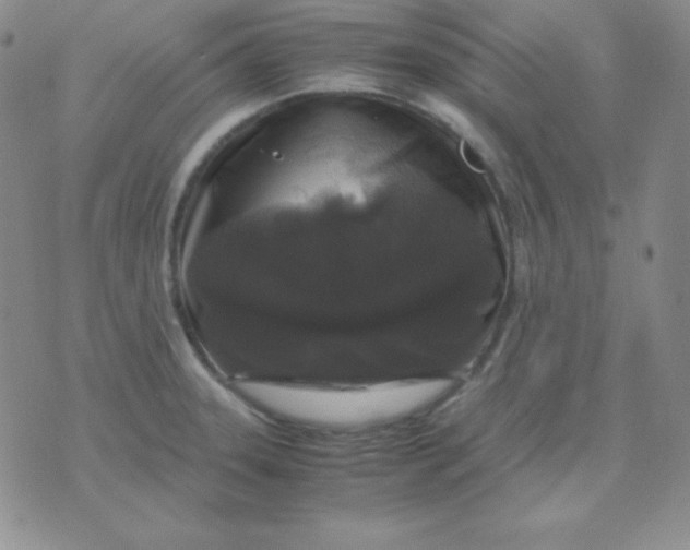 X0000071971331200607282048