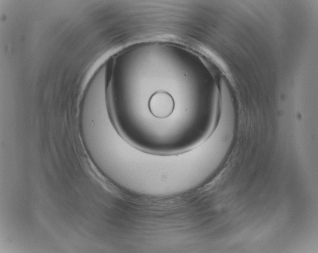 X0000071971332200607282048